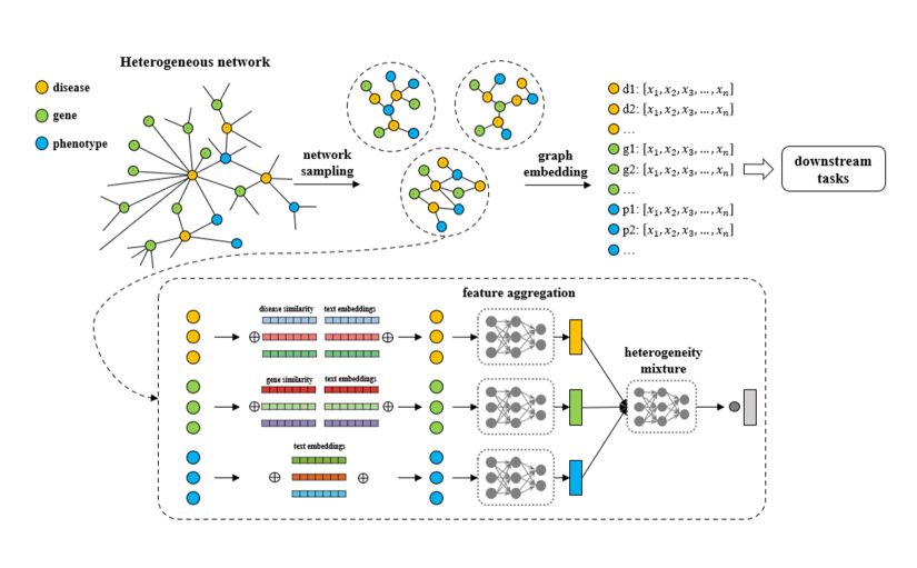 Diagram showing the gene disease prediction learning process