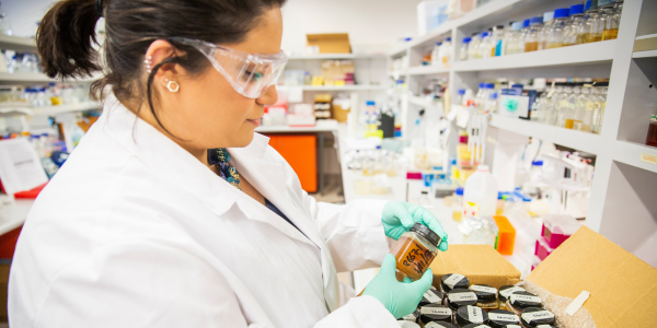 Photo of Dr Nural Cokcetin working on honey samples