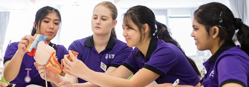 UTS nursing students examining a model of a heart