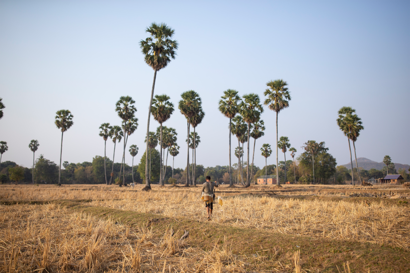 Boy walking through a plain