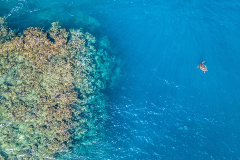 stock image of Pacific Islands landscape