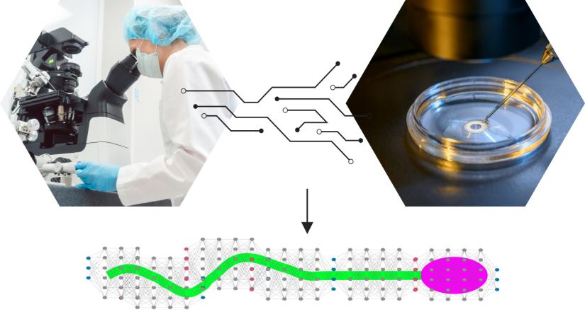 Graphic combining a scientist looking into a microscope, a petri dish and a representation of a spermatozoa  