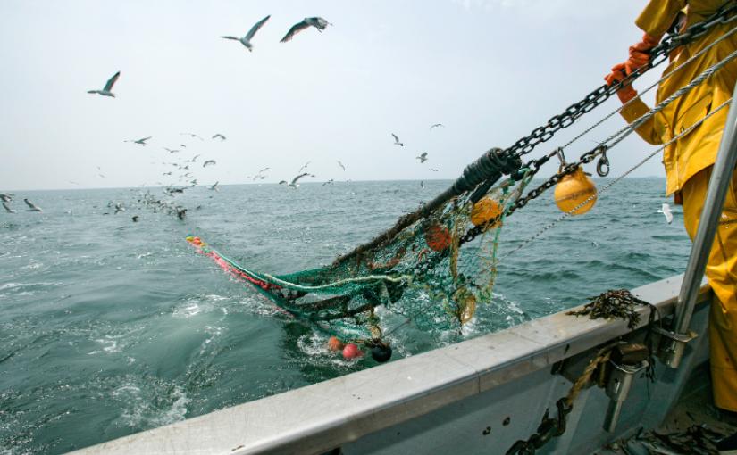Fishing trawler. Adobe Stock Image