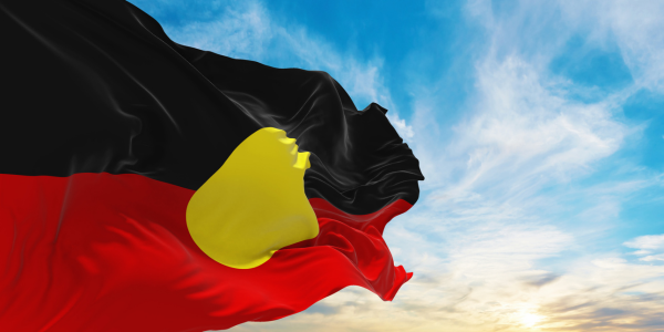 Aboriginal flag 