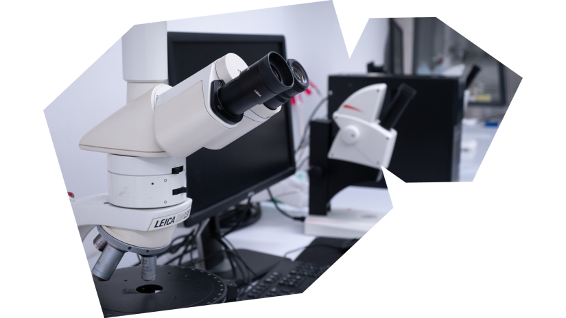 Microscope and computer on a desk in a university science lab