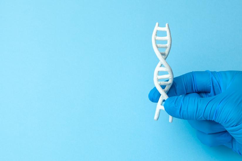 A double helix model being held by a hand in plastic glove