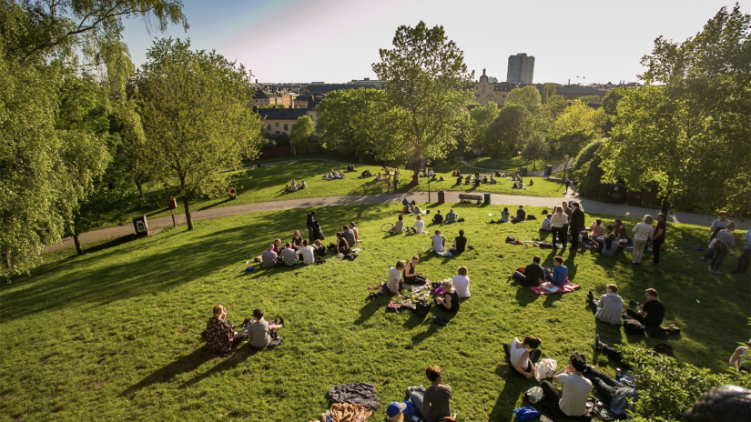Group of people sitting on a lawn surrounded by trees