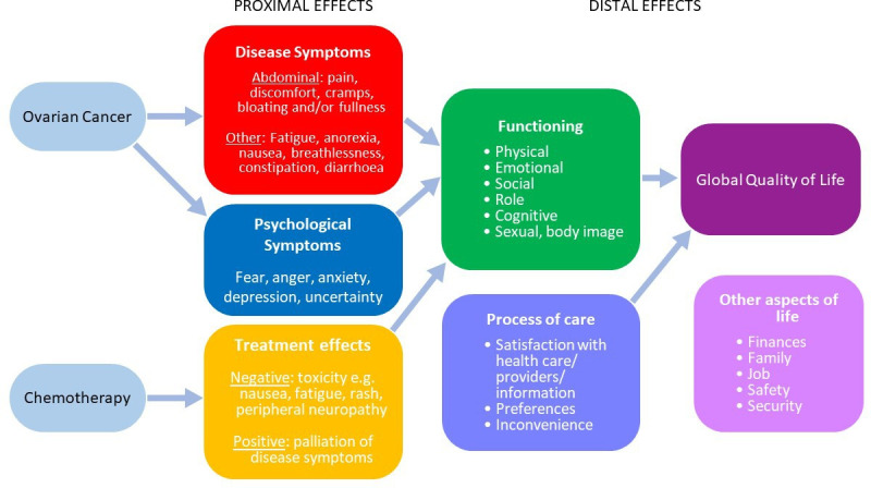 Figure 2 Conceptual model of proximal and distal effects from ovarian cancer and chemotherapy