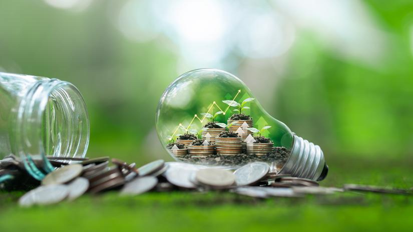 Plants growing in bulbs, green investment concept