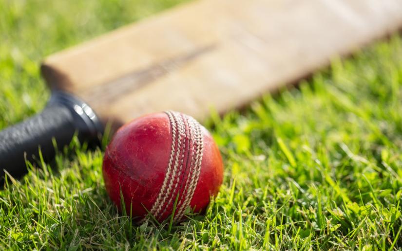 Cricket ball and cricket bat on green grass of cricket pitch