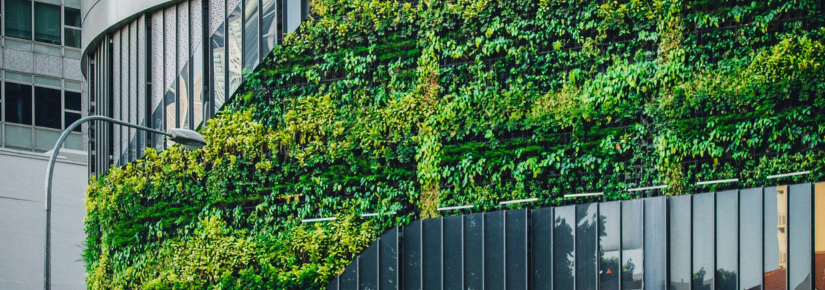 City building with plants growing on part of the wall. 