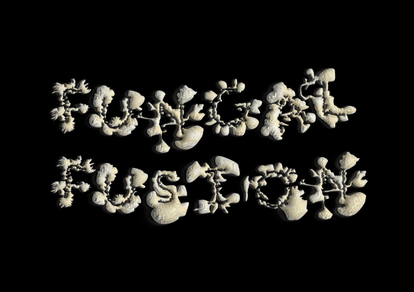 "Fungal Fusion" text written in font that appears to be mushrooms
