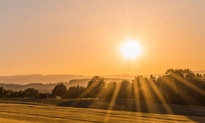 An orange sunrise over a field with trees.