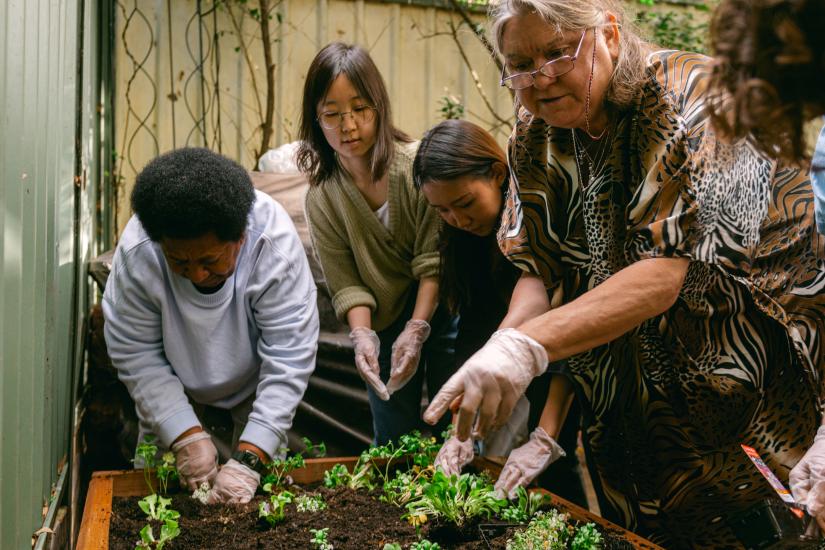 A picture of diverse community members and students planting seedlings