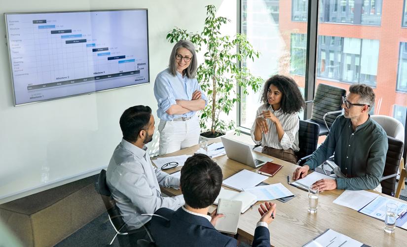 Group of professionals having a meeting