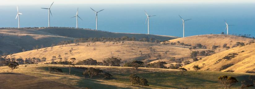 Wind farm. Adobe Stock