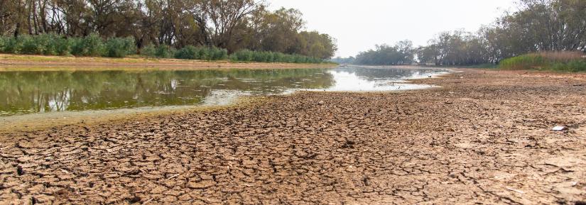 Drought. Image: Adobe Stock