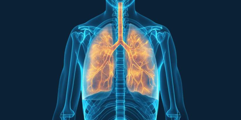 Stylised x-ray of a human body highlighting the lungs