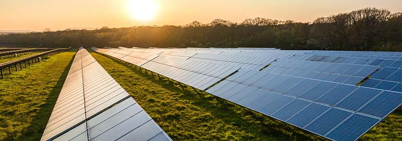 solar panels on a field, trees and sun in background