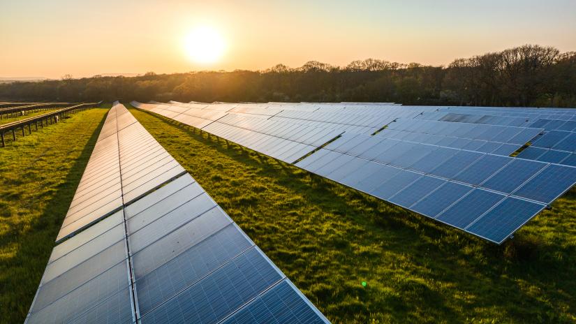 solar panels on a field, trees and sun in background