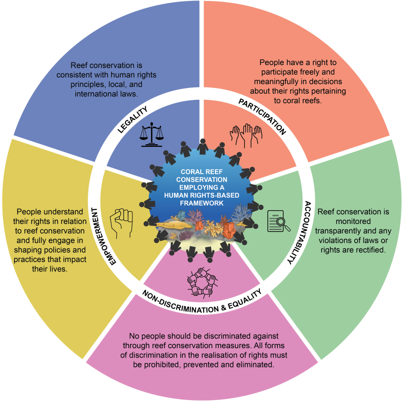 Schematic framework. Emma Camp