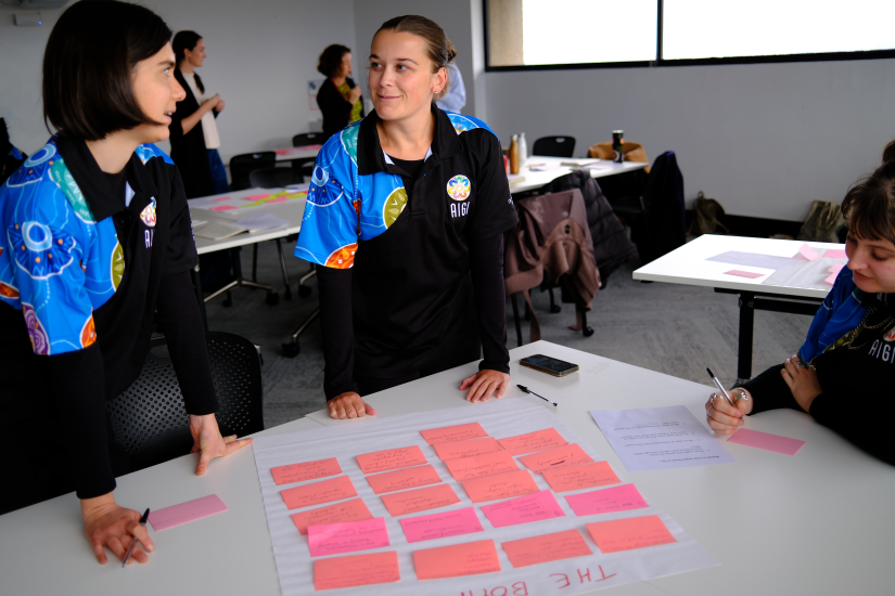 AIGI staff developing content for an organisation-level monitoring, evaluation and learning framework.
