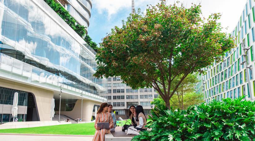 Photo of UTS Alumni Green with tree