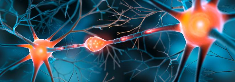 Two interacting nerve cells connected with synapse - 3D illustration 