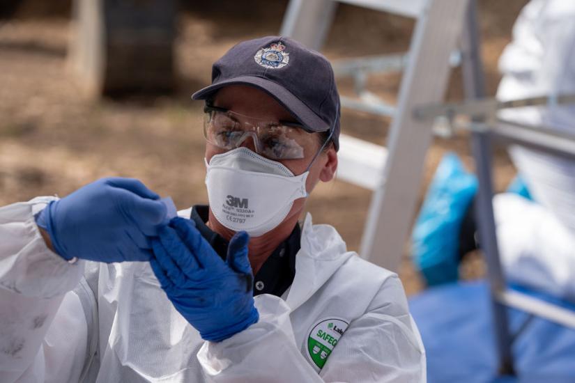 An AFP participant in the exercise examining evidence. Picture by Grainger Films