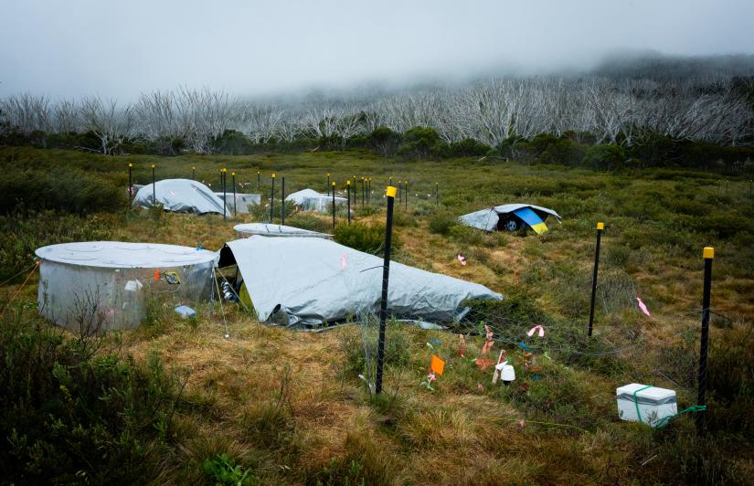 heatwave chambers in Kosciuszko National Park.