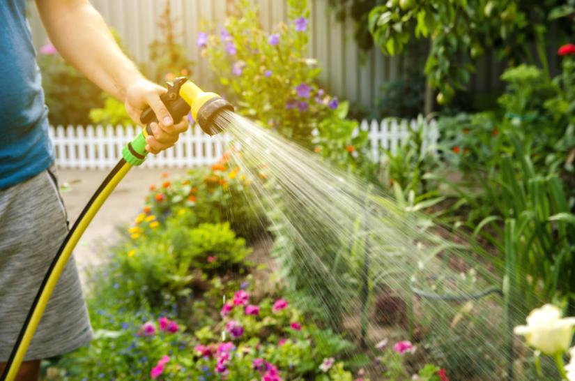 watering a garden.