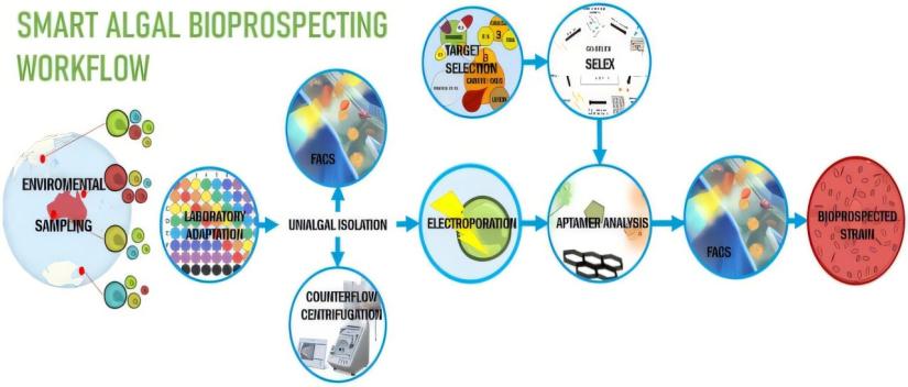 A workflow diagram for bioprospecting