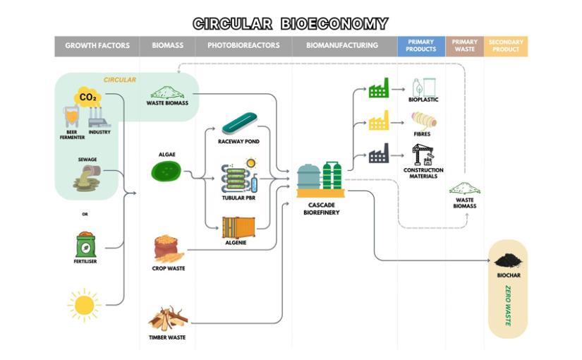 diagram on how the circular economy works