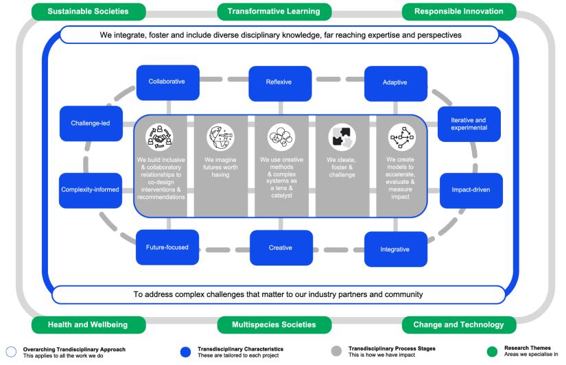 Diagram showing transdisciplinary process linking themes like health, innovation, learning and sustainable societies