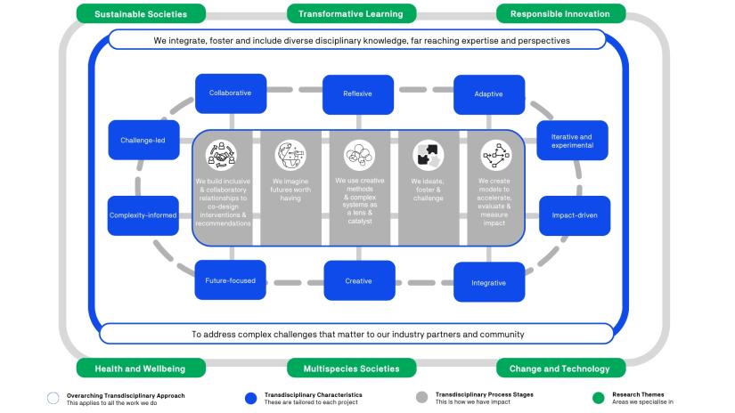 Diagram showing transdisciplinary process linking themes like health, innovation, learning and sustainable societies