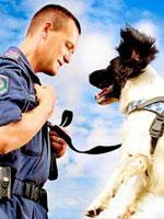 Police man with dog