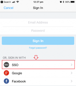 single sign on ios