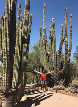 Photo of Sahara next to giant cacti