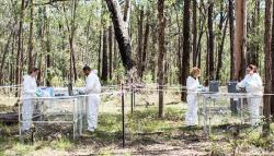 Australian Facility for Taphonomic Research