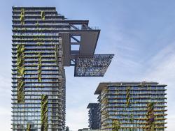 One central park