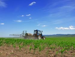 Tractor spraying in field