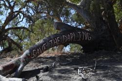 Save the Murray Darling