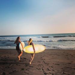 Velvet-Belle and a friend surfing