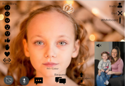 Screenshot of proposed videoconferencing platform