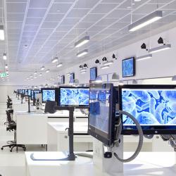 Row of computer screens