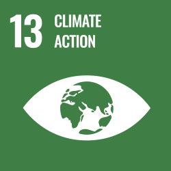 Icon for SDG 13 Climate action