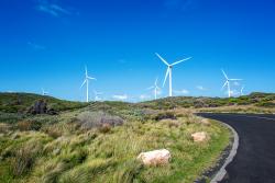 Wind farm near a road