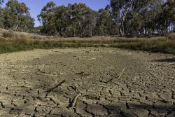 Dried pond