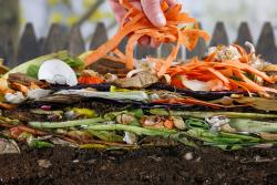 Food scraps on top of soil