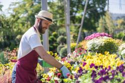 Man tending to some flowers